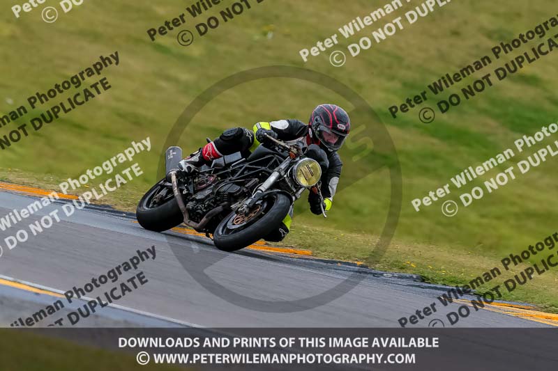 PJ Motorsport 2019;anglesey no limits trackday;anglesey photographs;anglesey trackday photographs;enduro digital images;event digital images;eventdigitalimages;no limits trackdays;peter wileman photography;racing digital images;trac mon;trackday digital images;trackday photos;ty croes